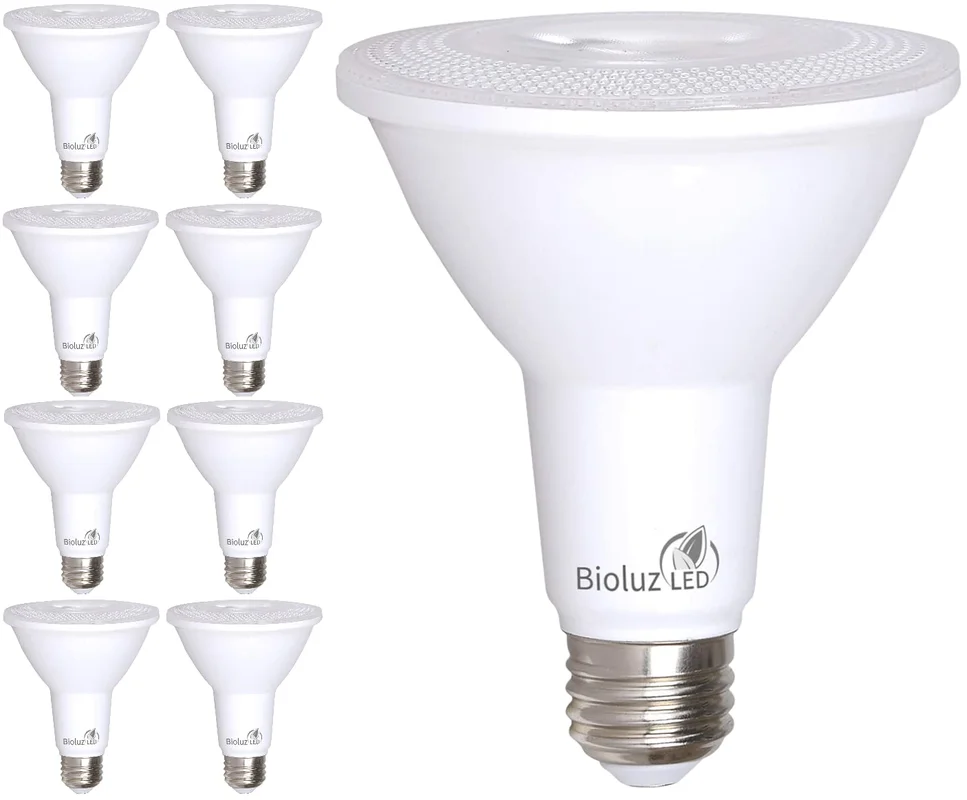lightsdaddy684247