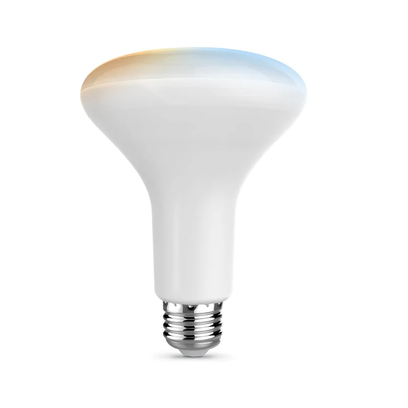 lightsdaddy684425