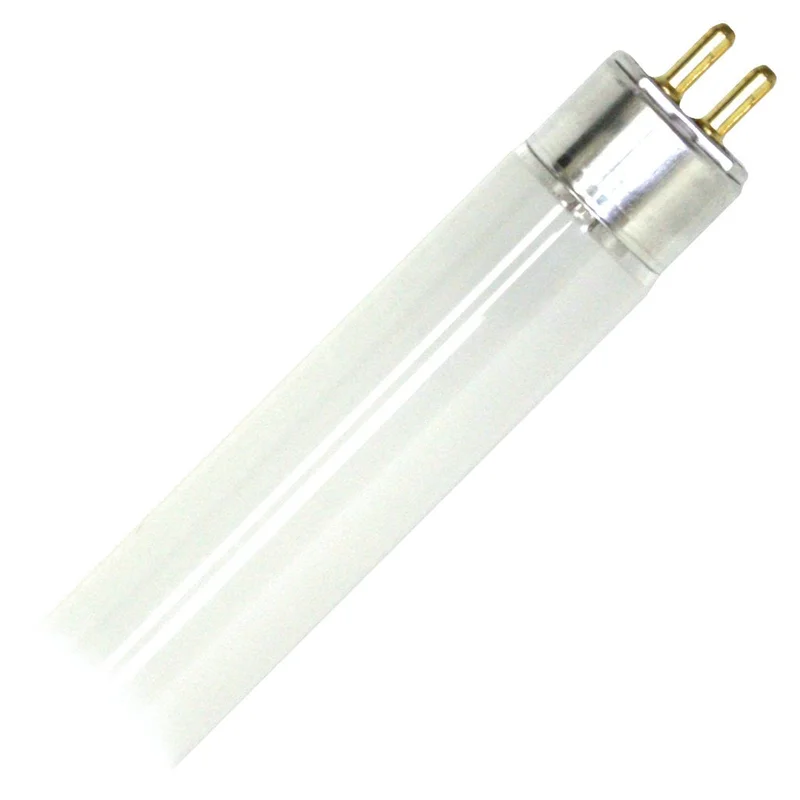 lightsdaddy688250