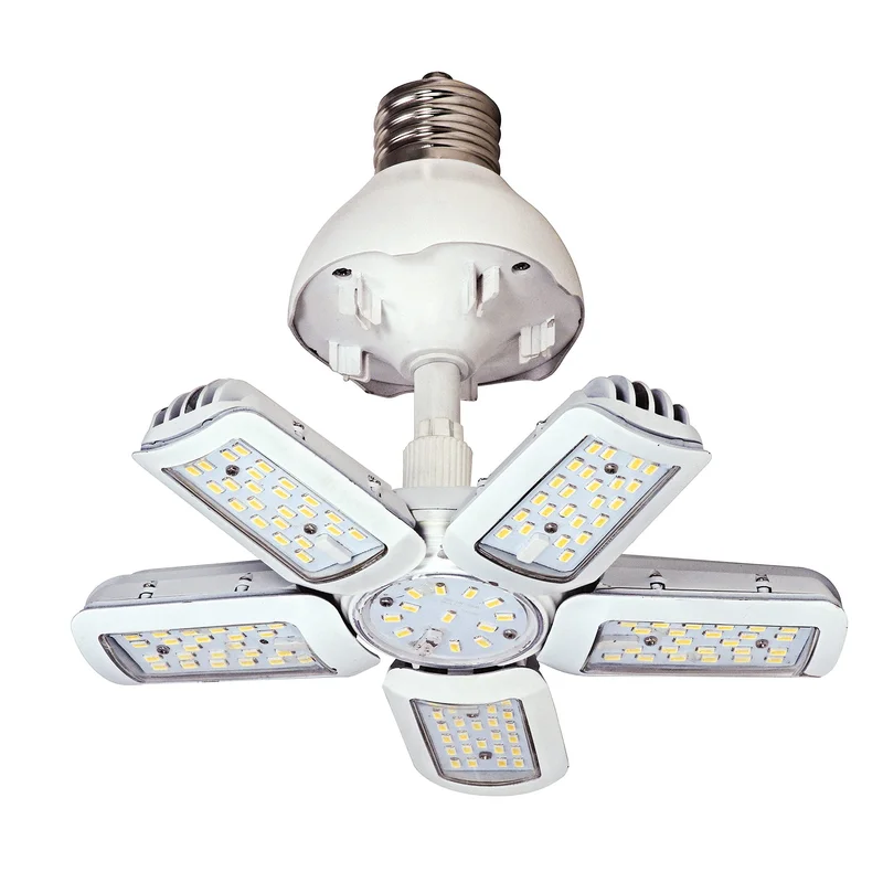 lightsdaddy689607