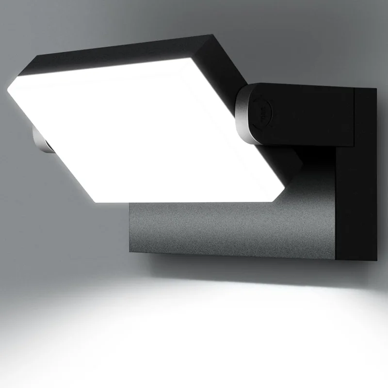 lightsdaddy694430