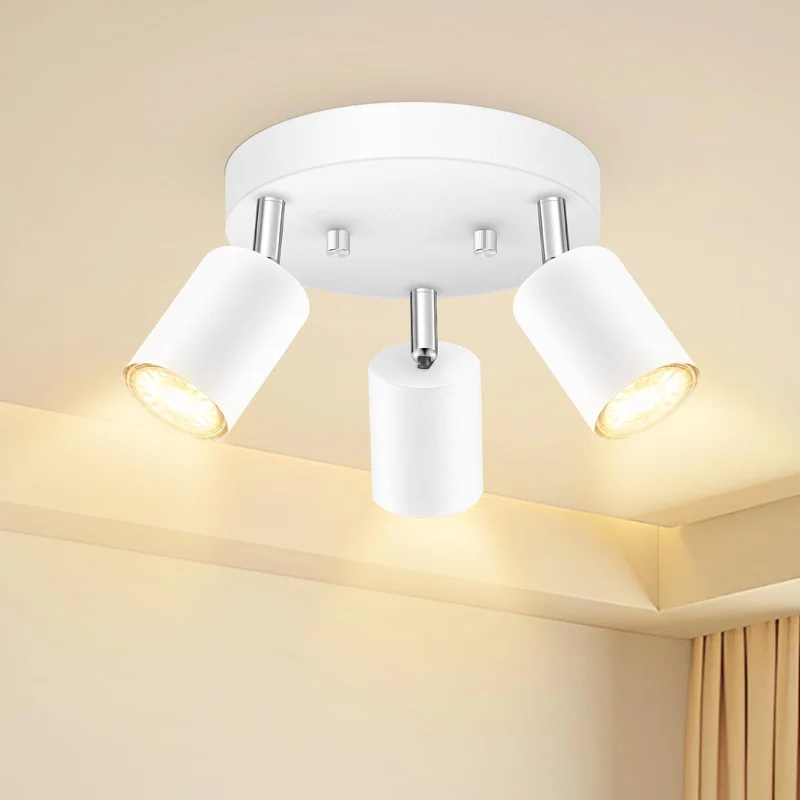 lightsdaddy695016