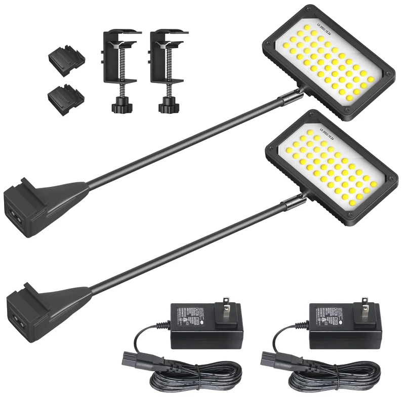 lightsdaddy695641