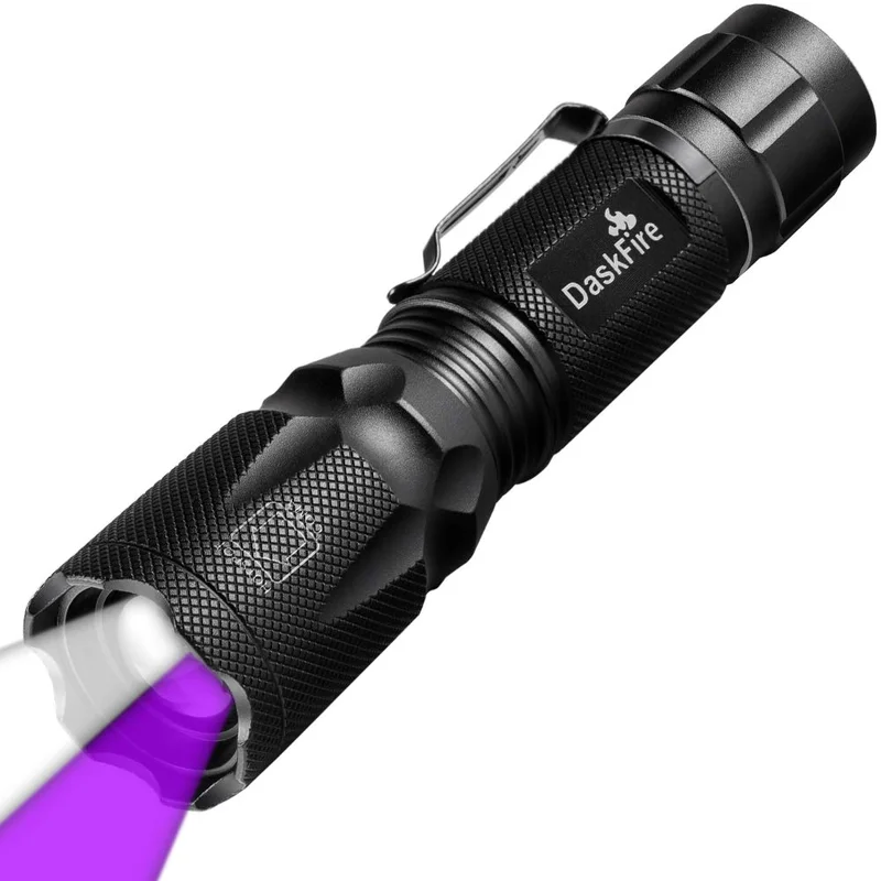 lightsdaddy698231