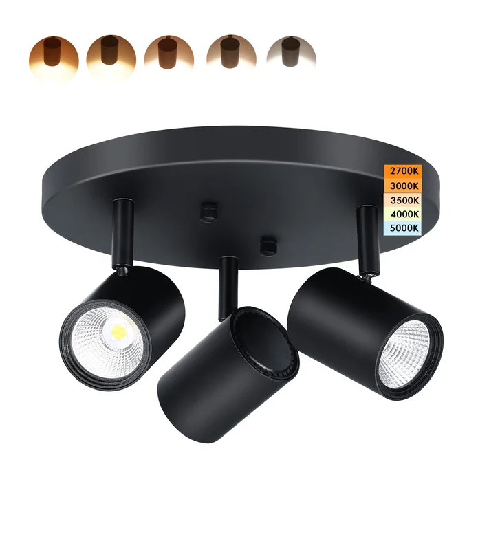 lightsdaddy698550