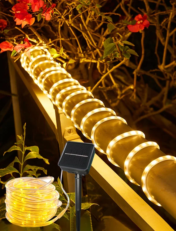 lightsdaddy699109