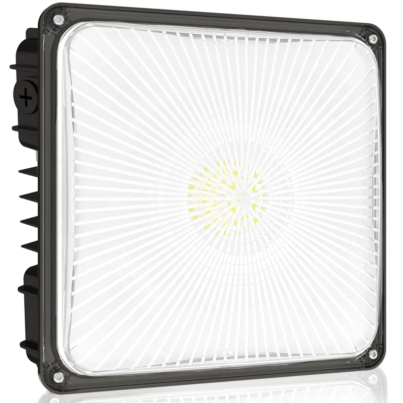 lightsdaddy704340