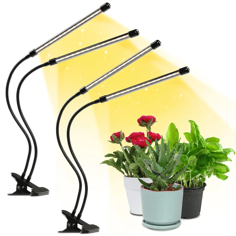 lightsdaddy706002