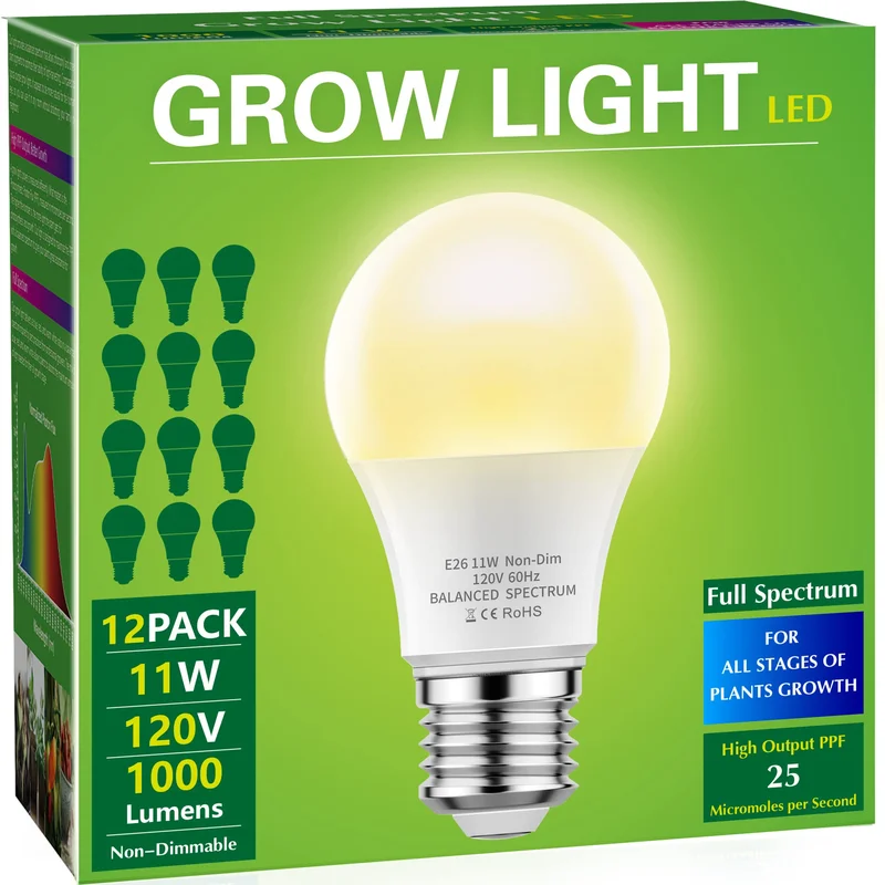 lightsdaddy706016
