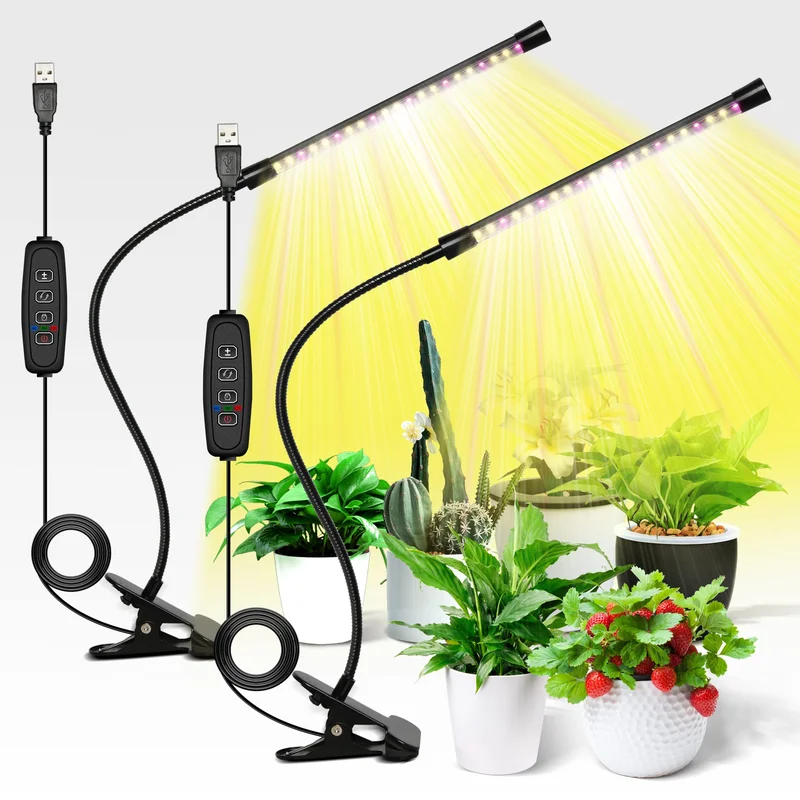 lightsdaddy706075