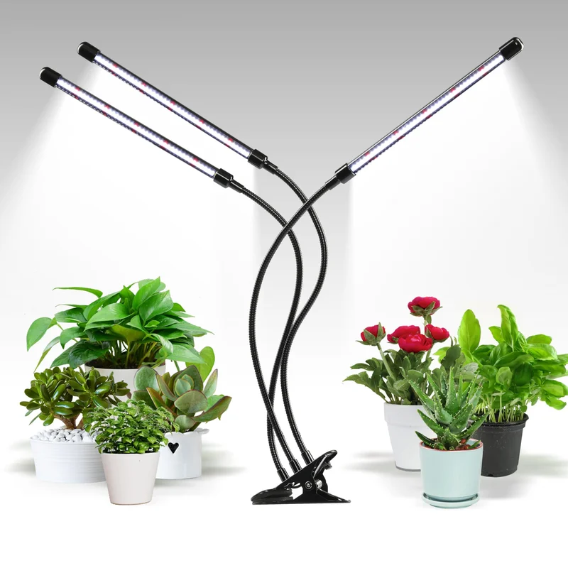 lightsdaddy706097