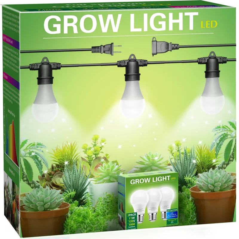lightsdaddy706186