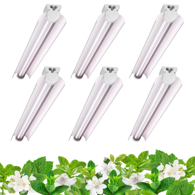 lightsdaddy706320