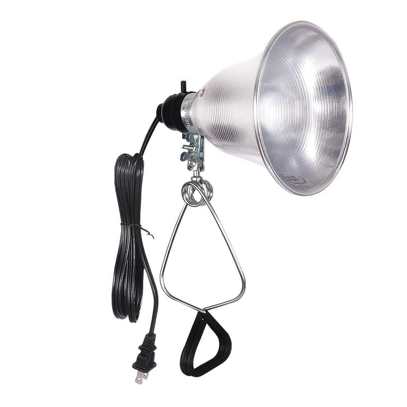 lightsdaddy706419