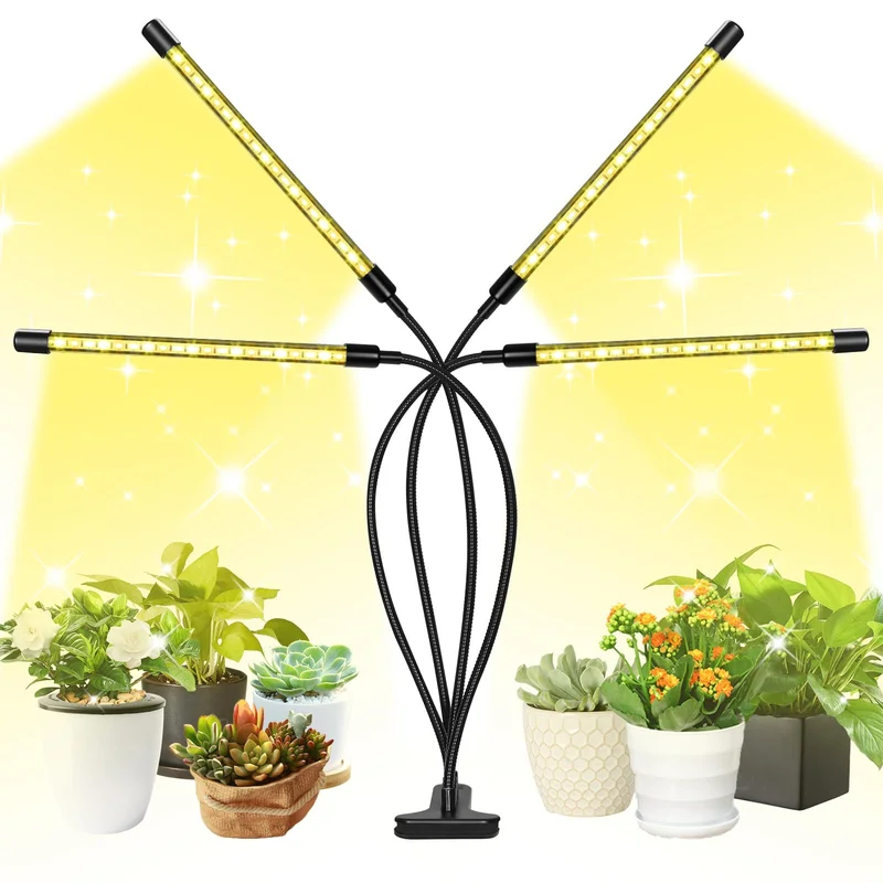 lightsdaddy706625
