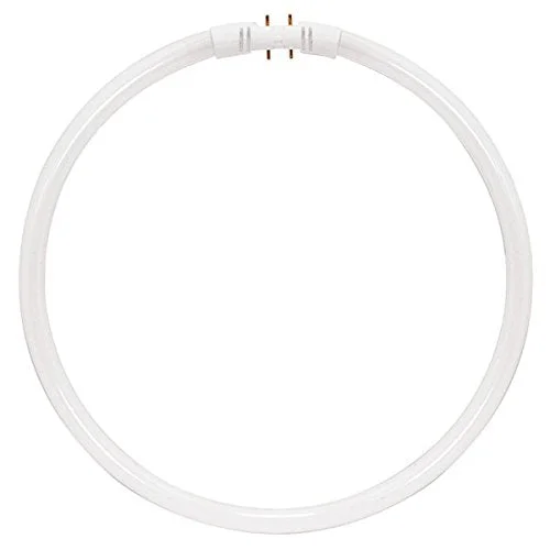 lightsdaddy711924