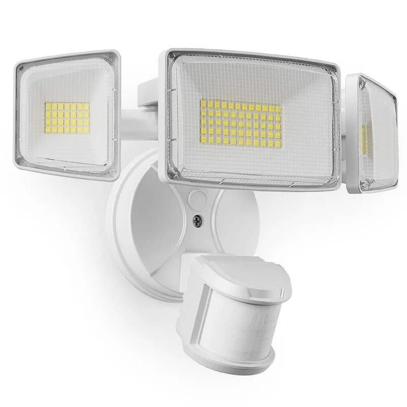 lightsdaddy729746