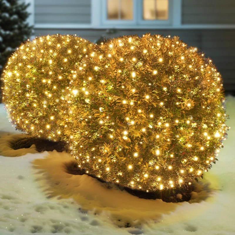 lightsdaddy737012