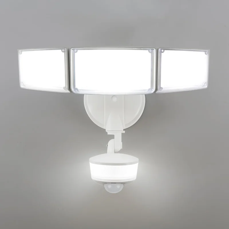 lightsdaddy749059