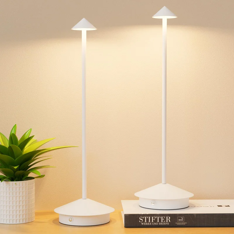 lightsdaddy752093