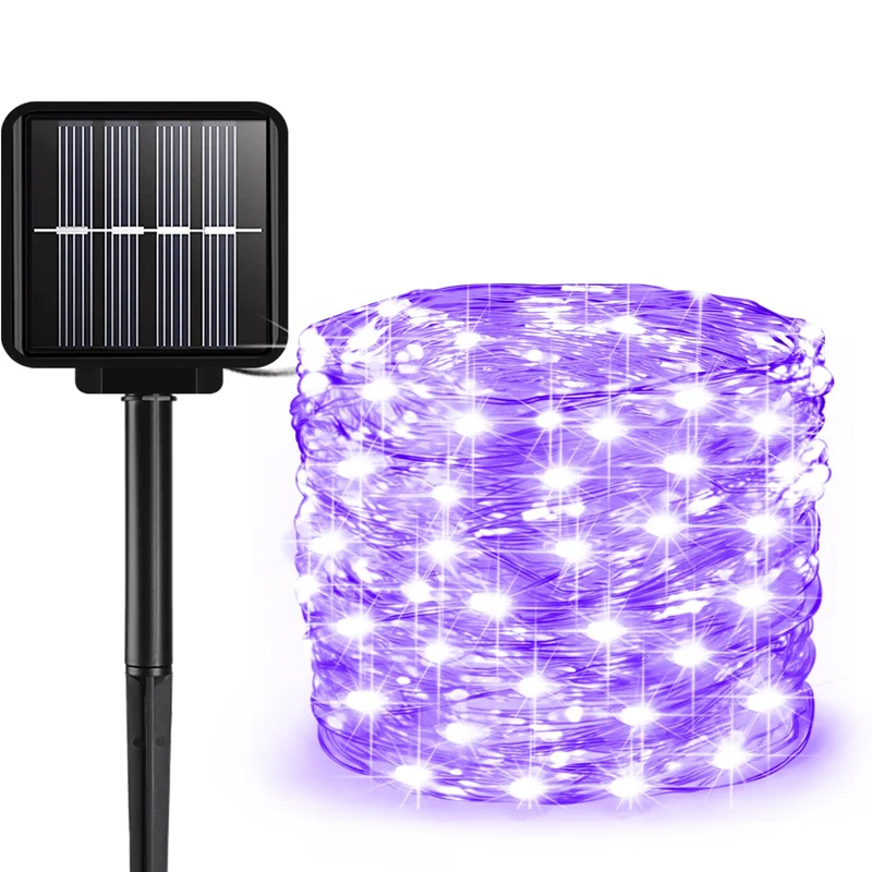 lightsdaddy754025