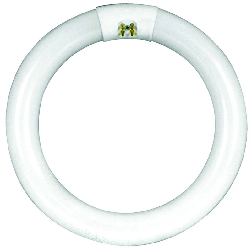 lightsdaddy773009
