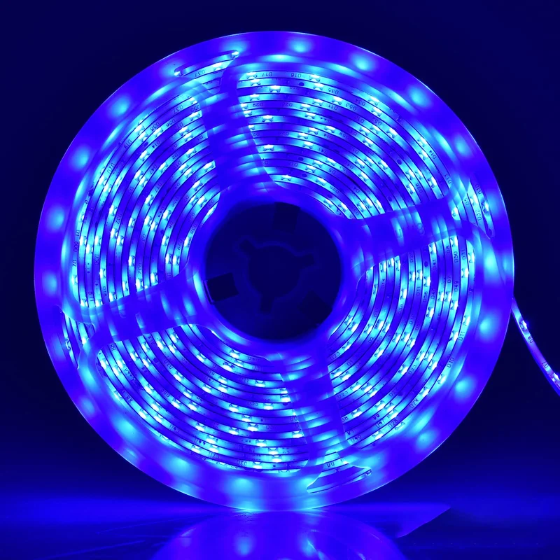 lightsdaddy774441