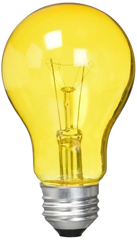 lightsdaddy77643