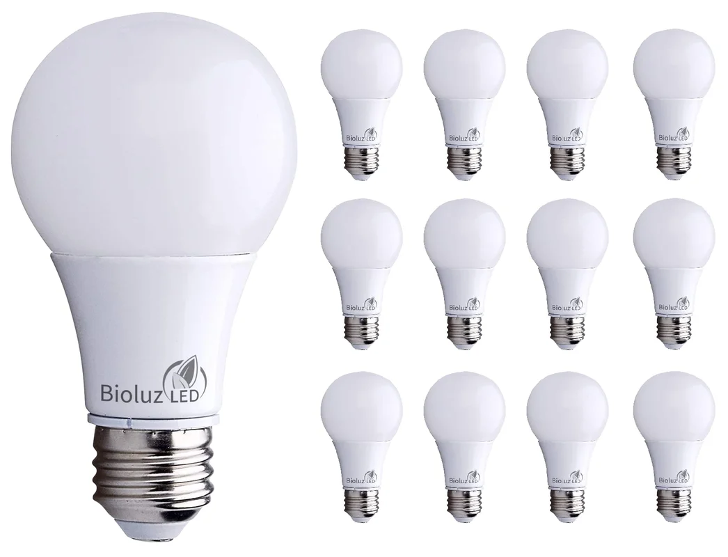 lightsdaddy784053