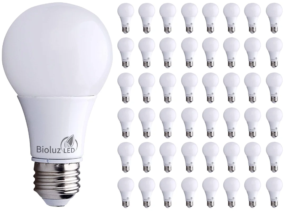 lightsdaddy784506