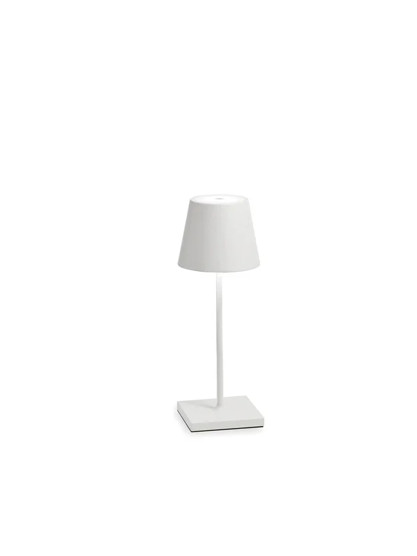 lightsdaddy787540