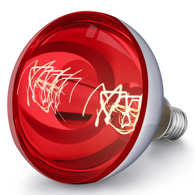 lightsdaddy787668