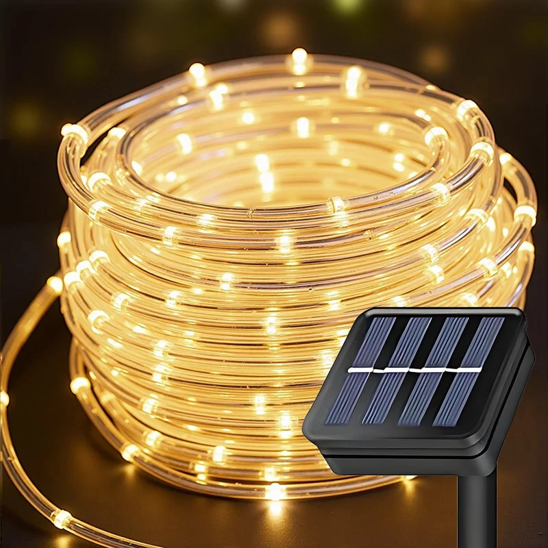 lightsdaddy794077