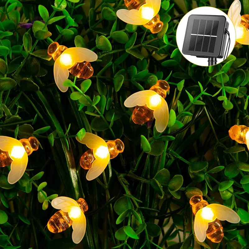 lightsdaddy795643