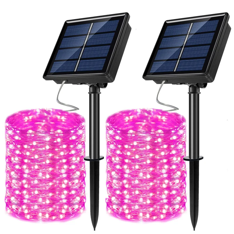 lightsdaddy798054