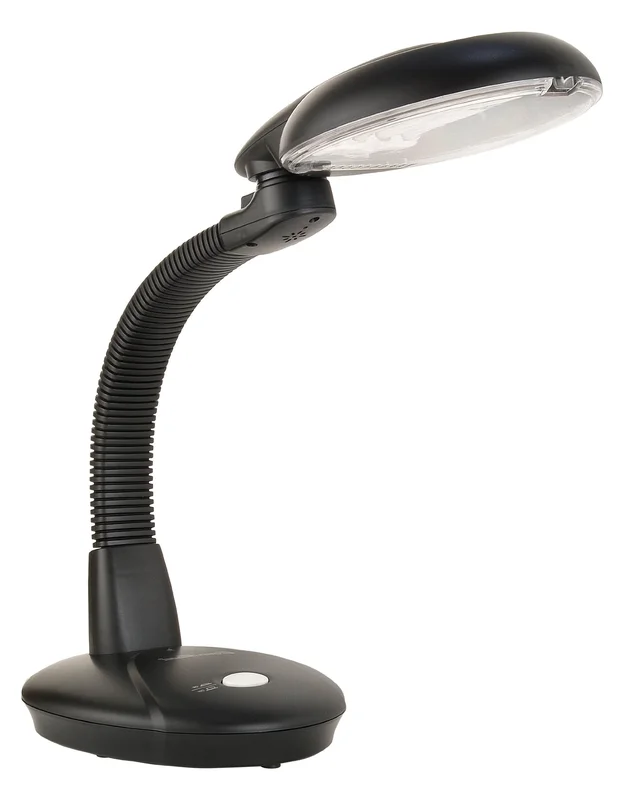 lightsdaddy79838