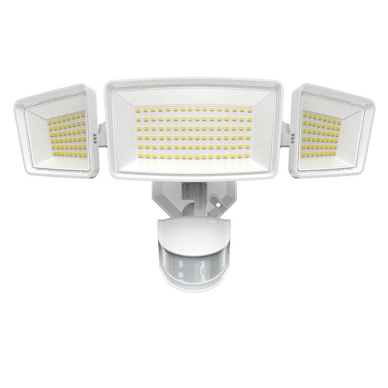 lightsdaddy800754