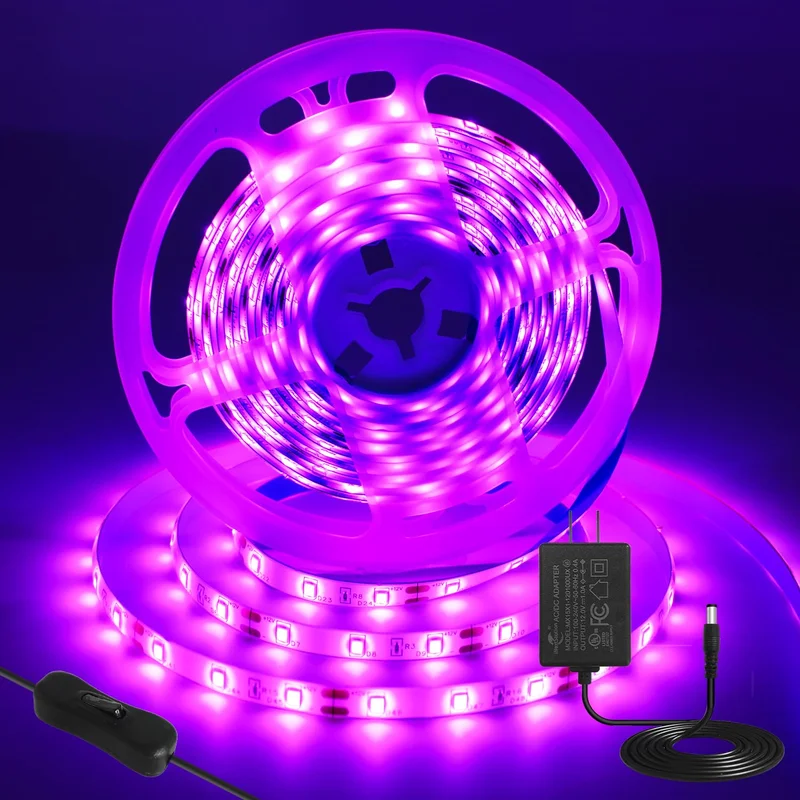 lightsdaddy800954