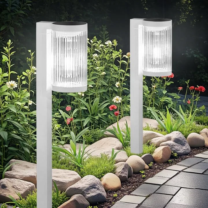 lightsdaddy807471