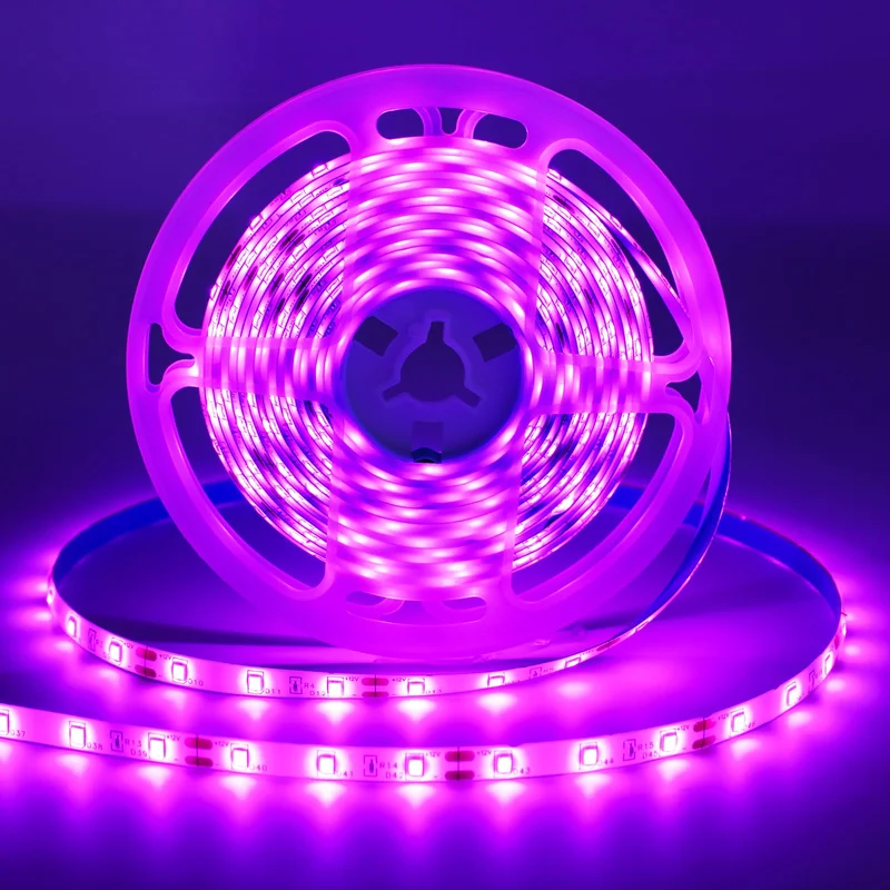 lightsdaddy807542
