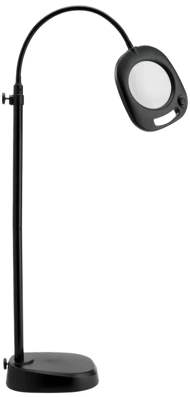 lightsdaddy810007