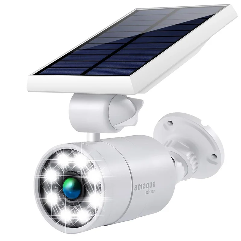 lightsdaddy81038
