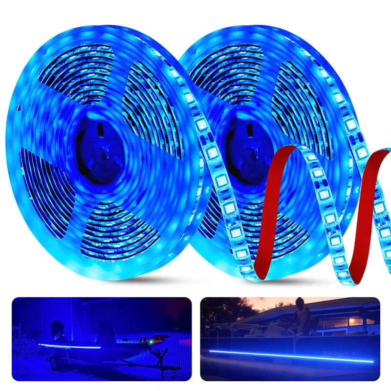 lightsdaddy810846
