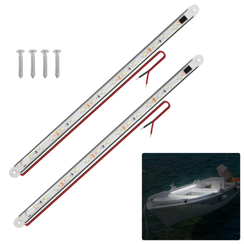 lightsdaddy811561