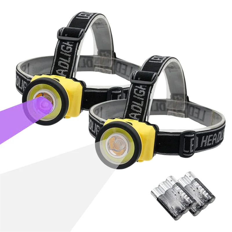 lightsdaddy813198