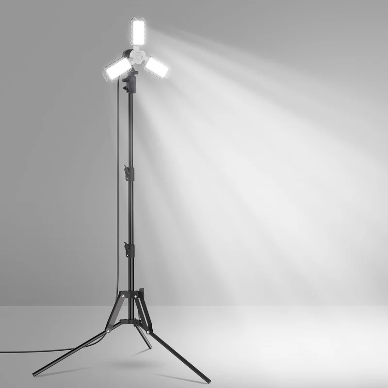 lightsdaddy813714