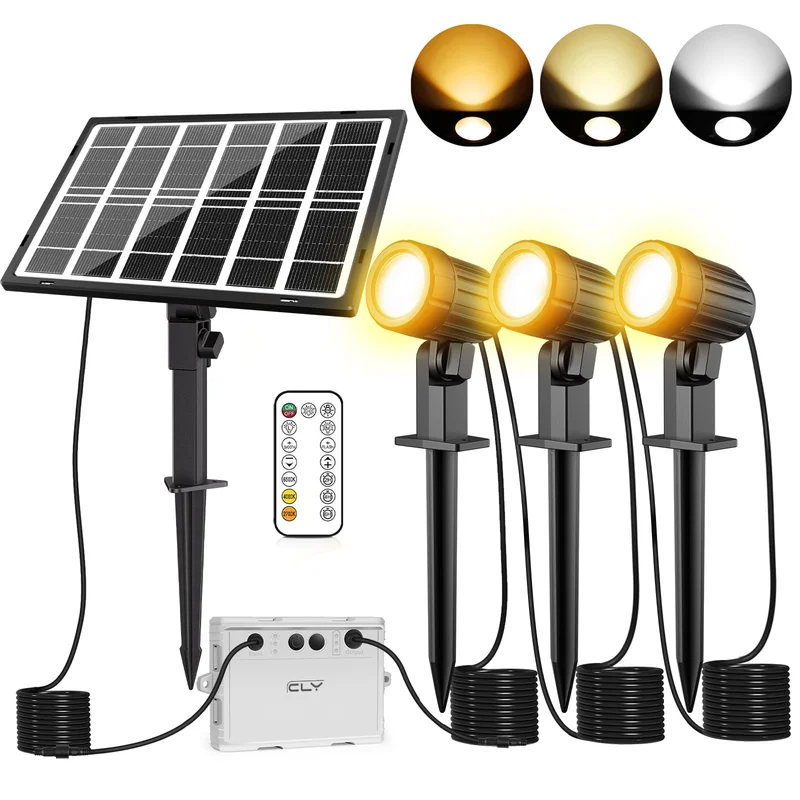 lightsdaddy816021