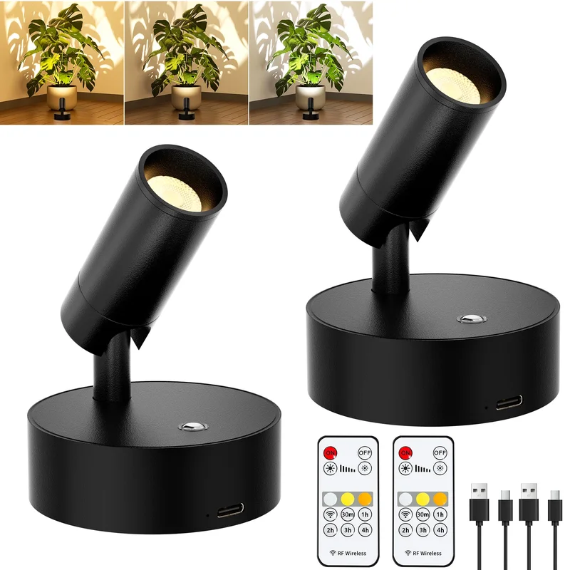 lightsdaddy816906