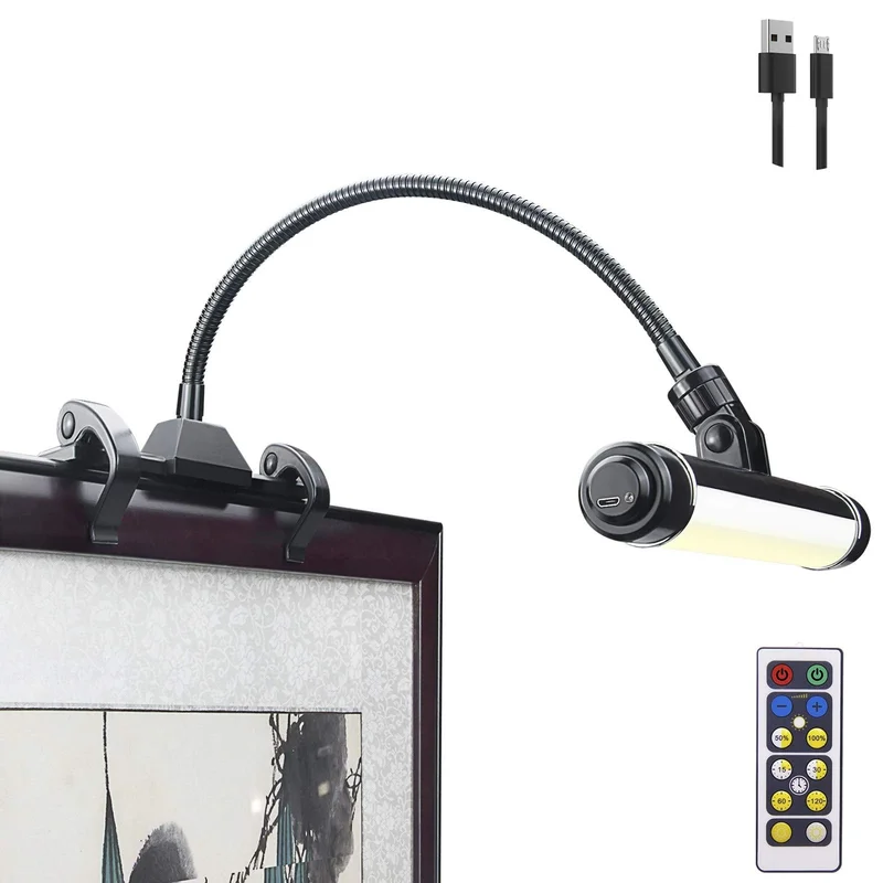 lightsdaddy819702