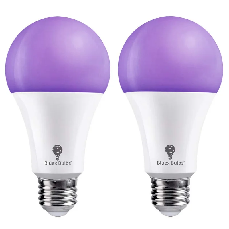 lightsdaddy823253